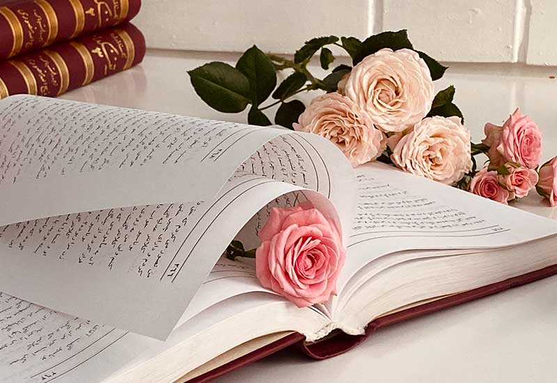 A book holding roses representing about the love towards knowledge.